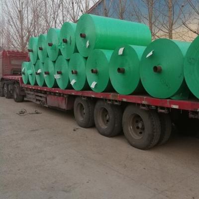 China Water resistant pe tarpaulin roll HDPE tarpaulins tarpaulin manufacturer for sale