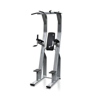 China Commercial Gym & Club Gym Fitness Equipment Vertical Knee Raise / Free Weight Gym Machine for sale