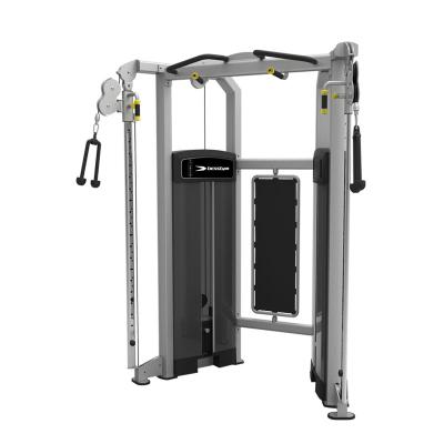 China Small Bird Smith Machine Gym Eco-Friendly Functional Gantry Trainer from Smith Large Commercial Fitness Equipment for sale