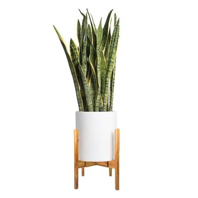 China Coastal Plant Stand For Outdoor Patio Popular Wooden Bamboo Plant Standing Indoor And Outdoor for sale