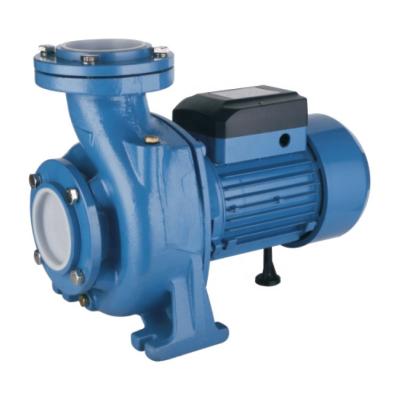 中国 Commercial Buildings NF 2 Inch Garden Cultivating Centrifugal Water Pump For Home House Water 販売のため