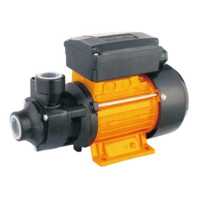 中国 Buildings P.M. VP PKM-D Commercial Power Self-Priming Peripheral Water Pump 販売のため