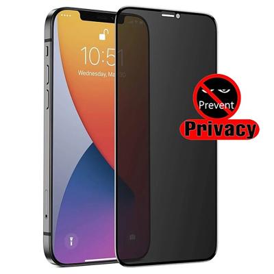 China Hot Selling Anti Spy 2.5D Mobile Phone Film Tempered Glass Privacy Screen Protector For Samsung For Iphone X 11 12 13 Pro Max for sale