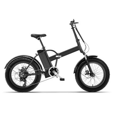 China Wholesale OEM Odm Steel E Bike 1000W E Cells Bike Electric Bicycle for sale