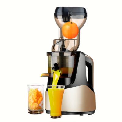 China High quality electric low speed household press extractor fruit juicer machine for household for sale