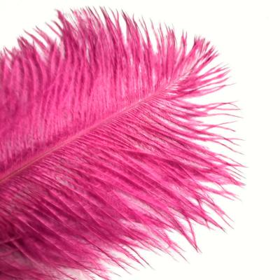 China Gently 2021 30-35cm snow white wedding ostrich feather hot-selling feathers for table decoration for sale