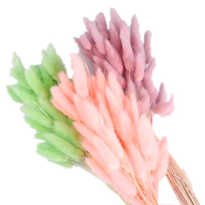 China Wedding Flower Arrangements Wholesale Dyed Colors Preserved Dry Flowers Lagurus Ovatus For Wedding Decoration for sale