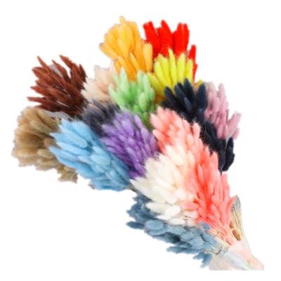 China Wedding Flower Arrangements 2021 hot-sale colorful artificial dry flowers preserved flower for garden for sale