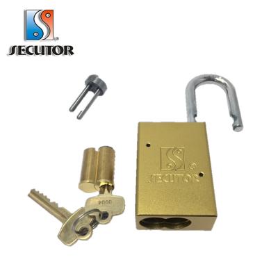 China Small Format Aluminum Interchangeable Core Aluminum Padlock Master Lock for sale