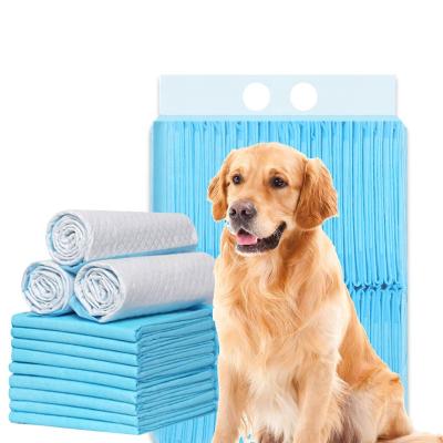 China WillGin HOT Selling Viable Pet Products For Pet Pee Pads Pet Training Pads Dog Protection for sale