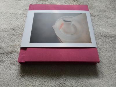 China Creative Flush Mount Photo Album , Fabric Travel 12 x 12 Wedding Books for sale