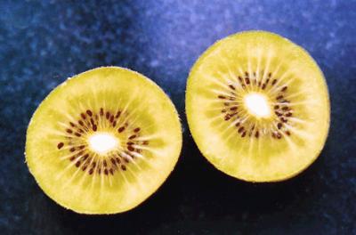 China supplying China Yellow Sun kiwi seedlings and kiwi plant golden kiwi seedlings for sale