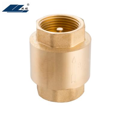 China General 1/2 - 4 Inch DN15-DN100 Core Vertical Brass Spring Check Valve for sale