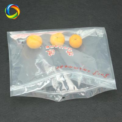 China Custom Clear Plastic Fence Wholesale China Factory Zip Lock Packaging Bags With Hanging Hole for sale