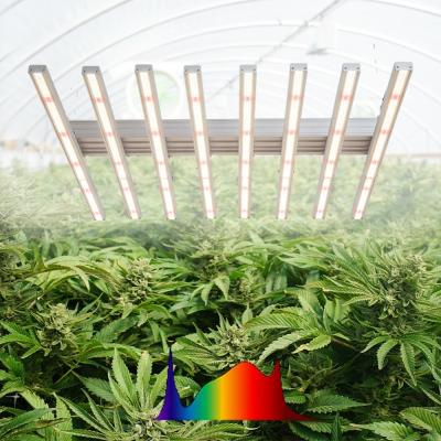 China Seed Seed Growing 1000w lm301h Water Proof Greenhouse Indoor Growing Plant Led Grow Light Full Spectrum for sale