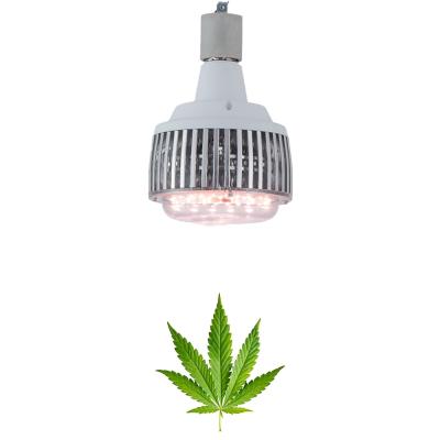 China 2021Ex-factory pricecheap greenhouse greenhouse indoor growing full spectrum UV seed starting led grow lights for sale