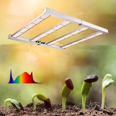 China Seed Starting Indoor Full Spectrum Collapsible Bar Cob Grow Light 600 Watt Led To Grow Light 600w for sale