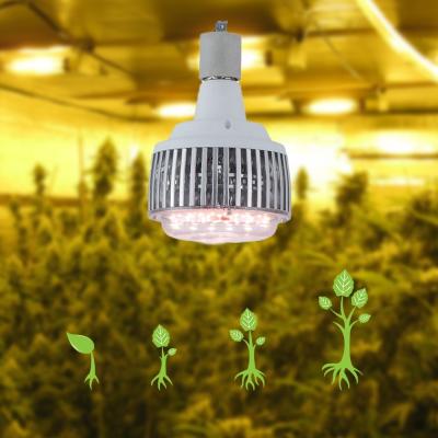 China Seed starting lm301h new commercial indoor growing plan full spectrum IR uv led grow light for sale