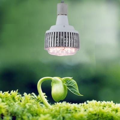 China Seed Seed Growing 100W lm301h High Quality Full Spectrum Greenhouse Plant Led Growing Light for sale