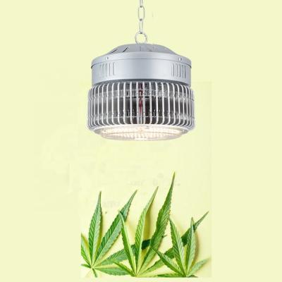 China Seed starting 1000 watt 800w ppfd high indoor water proof greenhouse full spectrum led grow light 301h for sale