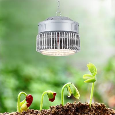 China Seed starting lm301h high ppfd full spectrum indoor plant growing veg led grow lights for home hobbyist growing for sale