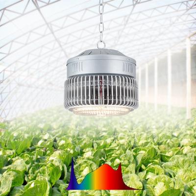 China Seed Seed Growing 24w 50w 100w lm301h Full Spectrum Indoor Greenhouse Plant Grow Led Industrial Grow Light for sale