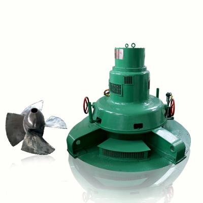 Chine Générateur de turbine hydraulique de Kaplan d'hydroélectricité micro à vendre