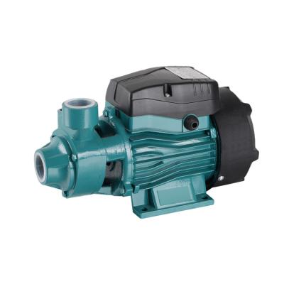 China LILI STRATEGY vortex water pump with thermal protector QB60 28X17.5X20.5cm for sale