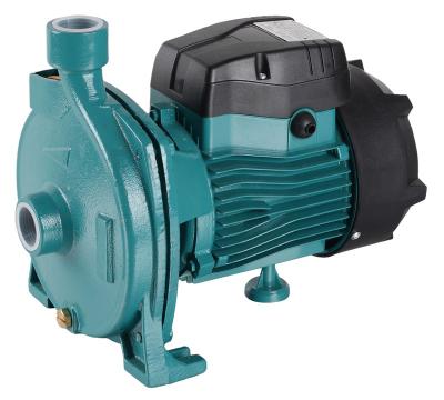 China LILI CPM Centrifugal Pumps Water Pump With Thermal Protector CMP158 PPO Impeller 28X17.5X20.5cm for sale