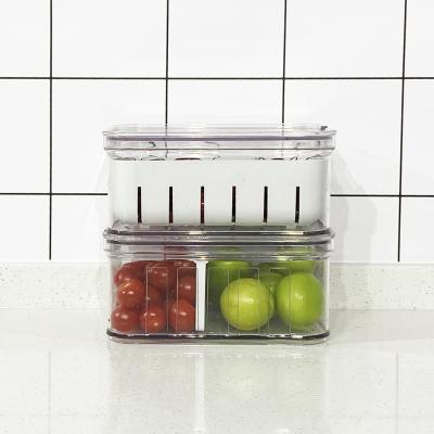 China Durable Food Packaging Fridge Fruit Storage Box Plastic Vegetable Organizer for sale