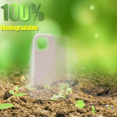 China 100% Fully Biodegradable Anti-drop Phone Case For iPhone 11 12 Phone 13 Case Factory Eco-Friendly Base for sale