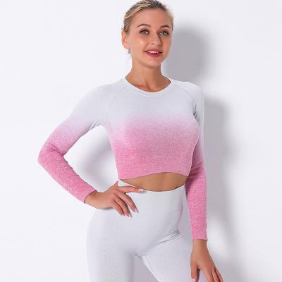 China Long Sleeve Crop Gym Sports Yoga Women T-Shirts Fitness Breathable Tank Top Seamless Sport Active Wear for sale