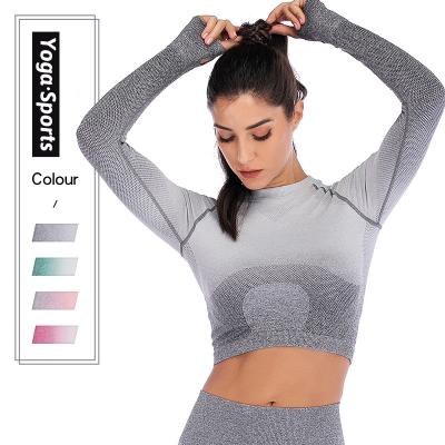 China New Women Long Sleeve Yoga Crop Shirts Breathable Fitness Top Seamless Running Workout Seamless Crop Top for sale