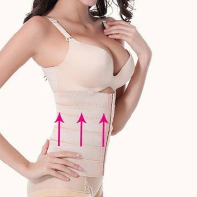 China Adjustable Sauna Waist Trainer Abdominal Binder For Pregnancy Fat Burning Stomach Belt Waist Trainer For Women for sale