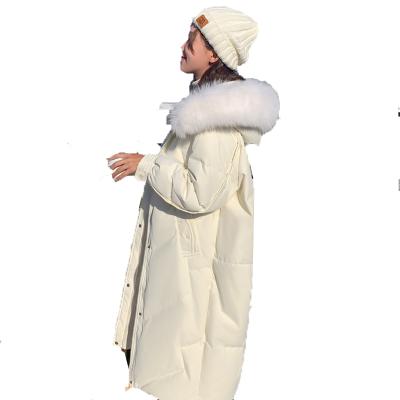 China 2021 New Viable Customizable Ladies Fashion Clothes Cotton Winter Coat Long Warm Winter Women Down Coat for sale