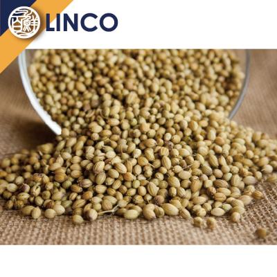 China Wholesale Best Quality Dried Coriander Seed Dehydrated Spice From Taiwan for sale