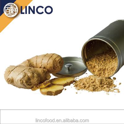 China Taiwan Dry 100% Natural Dehydrated Instant Ginger Grinding Powder for sale