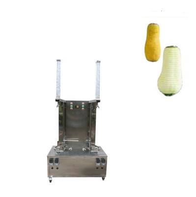 China High Efficiency Easy Operate Automatic Double Head Pineapple Skin Peeler Machine Wax Gourd Peeling Machine for sale