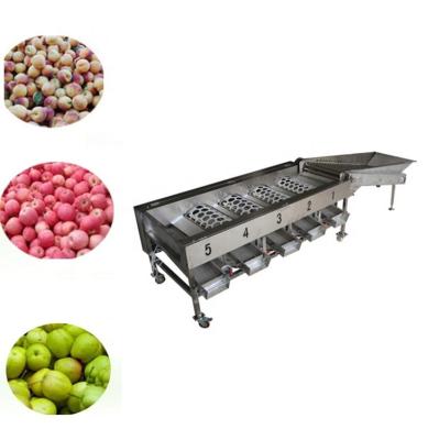 China High efficiency factory price green tangerine sorter cherry tomatoes citrus fruit screening equipment for sale