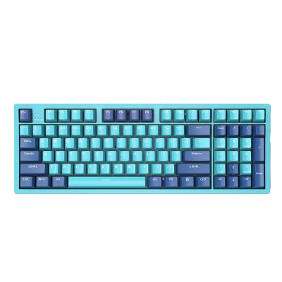 China MX PBT Key Top Cherry MX Switch 96 Cherry Mechanical Gaming Keyboard with Removable Magnetic Panel for sale