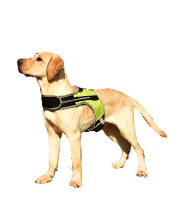 China New LED Light Strap DETACHED k-type Harness Dog Harness Medium Large Dog Night Travel Pet Supplies for sale