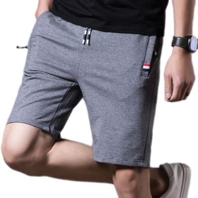 China High Quality Elastic Casual Running Gym Cotton Anti-Wrinkle Pocket Custom Summer Men's Workout Shorts for sale