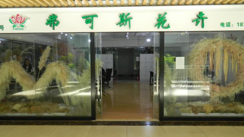 Verified China supplier - Yunnan Focus Flower Planting Co., Ltd.