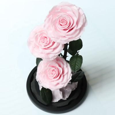 China 2021 Real Best Selling Romantic Preserved Rose Yunnan Preserved Roses Flower Thress Head In The Glass Dome for sale