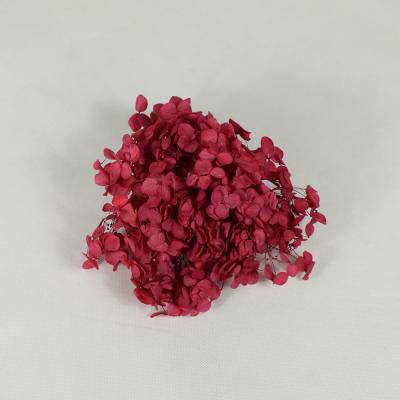 China Fowers Last Decorative Top Grade Natural Flower Preserved Hydrangea for sale