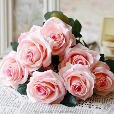 China Most popular wholesale fresh cut roses with 60cm-80cm grade for sale