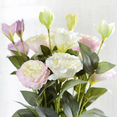 China Fresh cut Eustma for wedding decoration home flowers 50-70cm for sale