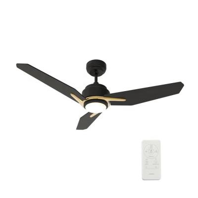 China Contemporary Home Appliances DC Motor Ceiling Flushed Fans Blade Invisible Black Ceiling Fan With Light for sale