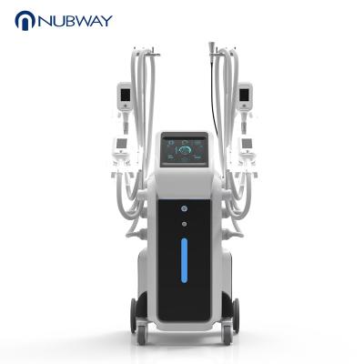 China 2019 newest design  Professional coolscupting cryolipolysis body slimming machine for sale for sale