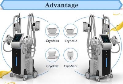 China Newest cryolipolysis 4 handles beauty machines cool shape fat freezing lipo cellulite for sale for sale